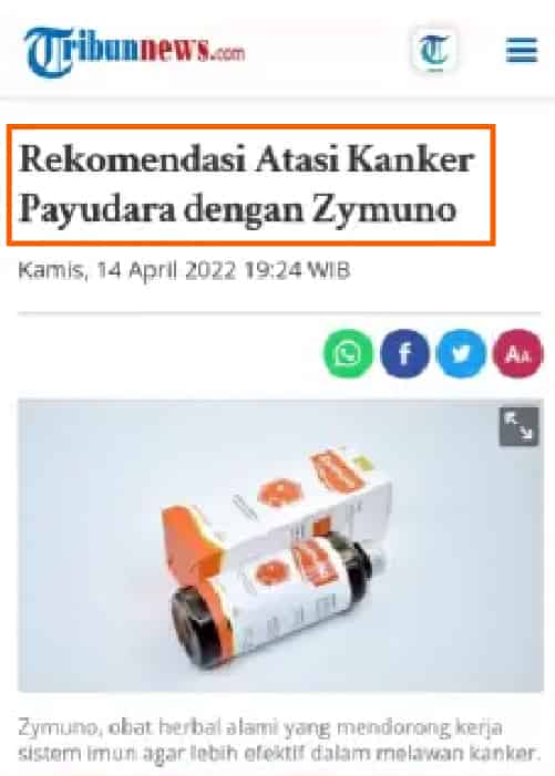 artikel-zym-3-min-1.jpg